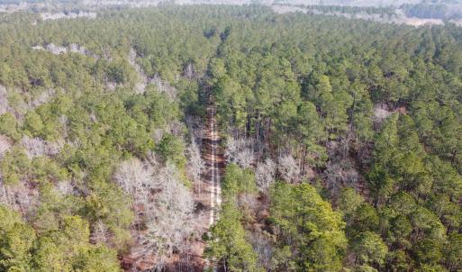 Photo #9 of TBD Hunters Chapel Rd, Ehrhardt, SC 736.0 acres
