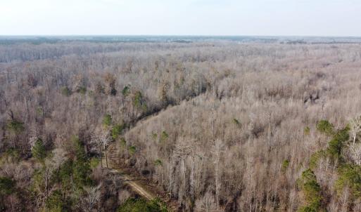 Photo #10 of TBD Hunters Chapel Rd, Ehrhardt, SC 736.0 acres