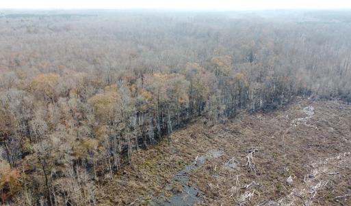 Photo #13 of TBD Hunters Chapel Rd, Ehrhardt, SC 736.0 acres