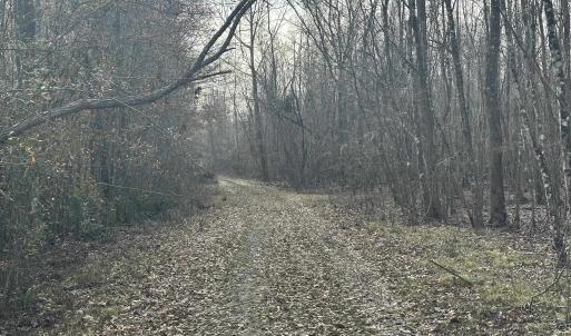 Photo #27 of TBD Hunters Chapel Rd, Ehrhardt, SC 736.0 acres