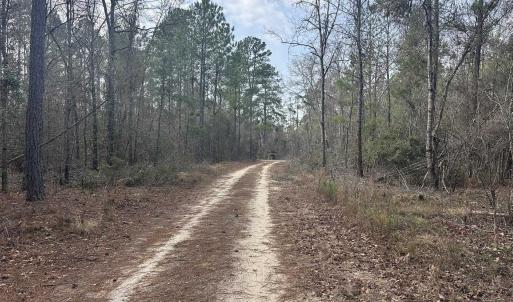 Photo #25 of TBD Hunters Chapel Rd, Ehrhardt, SC 736.0 acres
