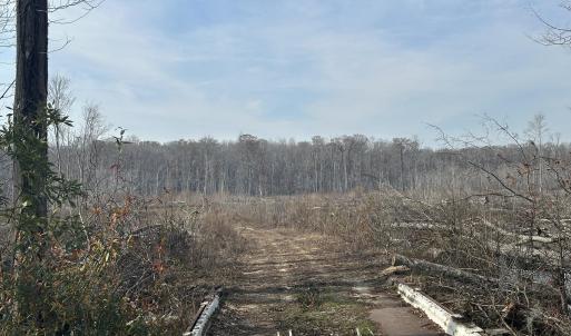 Photo #46 of TBD Hunters Chapel Rd, Ehrhardt, SC 736.0 acres