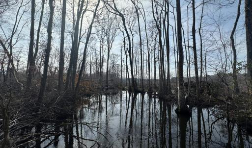 Photo #45 of TBD Hunters Chapel Rd, Ehrhardt, SC 736.0 acres