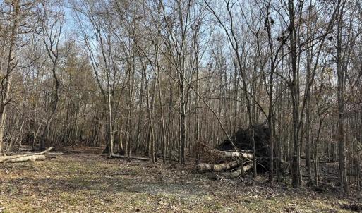Photo #54 of TBD Hunters Chapel Rd, Ehrhardt, SC 736.0 acres