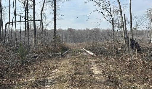 Photo #42 of TBD Hunters Chapel Rd, Ehrhardt, SC 736.0 acres