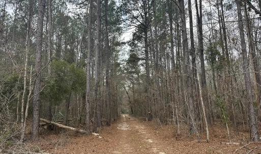 Photo #20 of TBD Hunters Chapel Rd, Ehrhardt, SC 736.0 acres