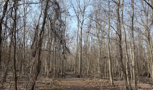 Photo #49 of TBD Hunters Chapel Rd, Ehrhardt, SC 736.0 acres