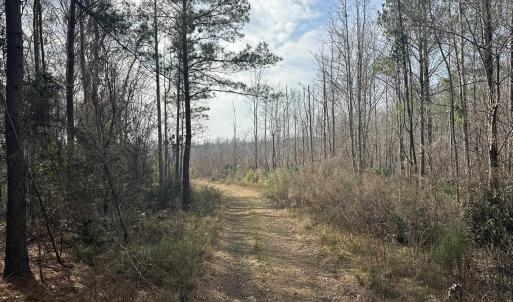 Photo #26 of TBD Hunters Chapel Rd, Ehrhardt, SC 736.0 acres