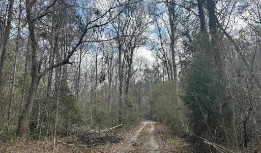 Photo #21 of TBD Hunters Chapel Rd, Ehrhardt, SC 736.0 acres