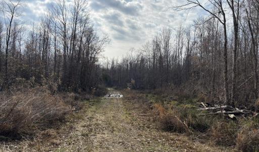 Photo #50 of TBD Hunters Chapel Rd, Ehrhardt, SC 736.0 acres