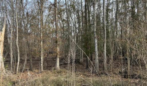 Photo #51 of TBD Hunters Chapel Rd, Ehrhardt, SC 736.0 acres