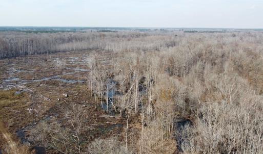 Photo #4 of TBD Hunters Chapel Rd, Ehrhardt, SC 736.0 acres