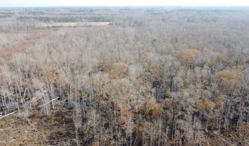 Photo #14 of TBD Hunters Chapel Rd, Ehrhardt, SC 736.0 acres