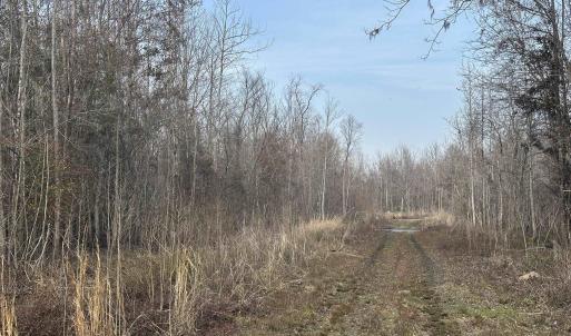 Photo #31 of TBD Hunters Chapel Rd, Ehrhardt, SC 736.0 acres
