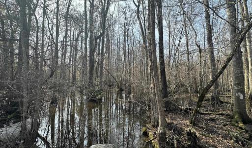 Photo #40 of TBD Hunters Chapel Rd, Ehrhardt, SC 736.0 acres