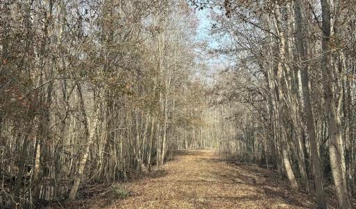 Photo #38 of TBD Hunters Chapel Rd, Ehrhardt, SC 736.0 acres