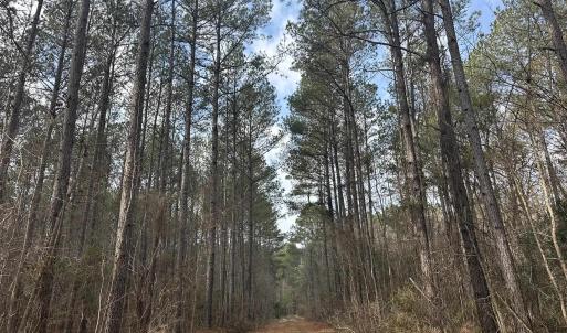 Photo #22 of TBD Hunters Chapel Rd, Ehrhardt, SC 736.0 acres