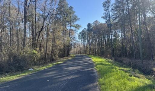 Photo #9 of 2135 Highway 646, Green Sea, SC 10.7 acres