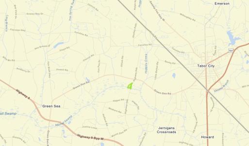 Photo #2 of 2135 Highway 646, Green Sea, SC 10.7 acres