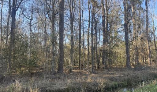 Photo #4 of 2135 Highway 646, Green Sea, SC 10.7 acres