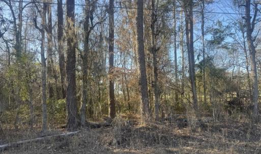 Photo #3 of 2135 Highway 646, Green Sea, SC 10.7 acres