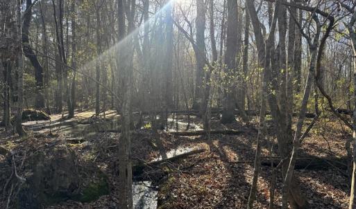 Photo #5 of 2135 Highway 646, Green Sea, SC 10.7 acres
