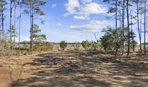 Photo #7 of 3160 Vanderbilt Blvd., Pawleys Island, SC 1.9 acres