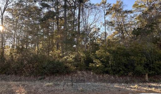 Photo #2 of Petigru Dr., Pawleys Island, SC 1.0 acres