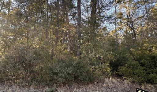 Photo #1 of Petigru Dr., Pawleys Island, SC 1.0 acres