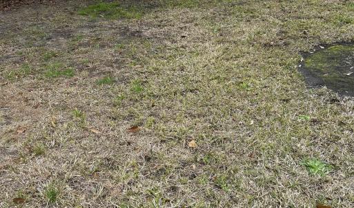 Photo #4 of 325 Kauffman St., Georgetown, SC 0.3 acres