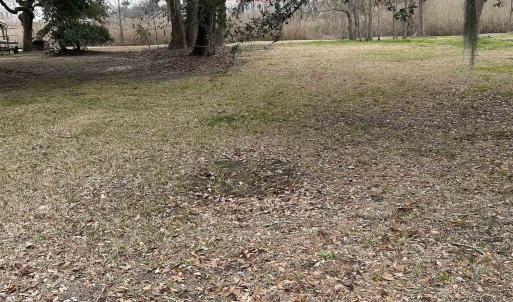 Photo #2 of 325 Kauffman St., Georgetown, SC 0.3 acres