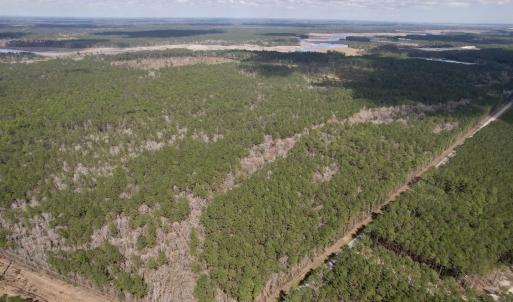 Photo #3 of Tract D - TBD Pennyroyal Rd., Georgetown, SC 5.3 acres