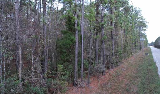 Photo #18 of Tract D - TBD Pennyroyal Rd., Georgetown, SC 5.3 acres