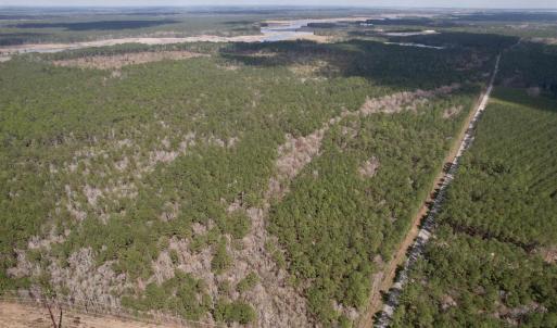 Photo #2 of Tract D - TBD Pennyroyal Rd., Georgetown, SC 5.3 acres