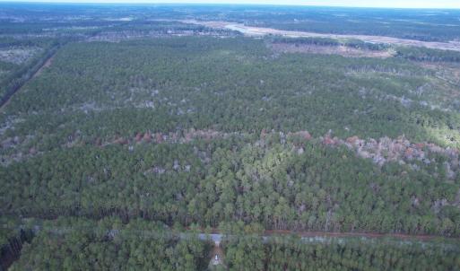 Photo #10 of Tract D - TBD Pennyroyal Rd., Georgetown, SC 5.3 acres