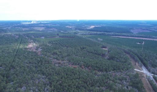 Photo #15 of Tract D - TBD Pennyroyal Rd., Georgetown, SC 5.3 acres