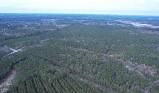 Photo #12 of Tract D - TBD Pennyroyal Rd., Georgetown, SC 5.3 acres