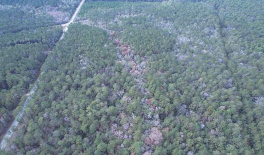 Photo #11 of Tract D - TBD Pennyroyal Rd., Georgetown, SC 5.3 acres