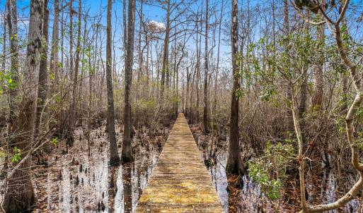 Photo #23 of TBD Shadow Moss Ln., Murrells Inlet, SC 2.9 acres