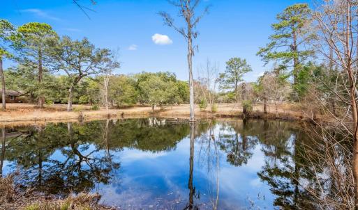 Photo #22 of TBD Shadow Moss Ln., Murrells Inlet, SC 2.9 acres