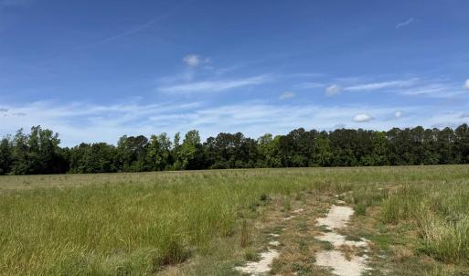 Photo #19 of 4633 Grainger Circle, Green Sea, SC 22.8 acres