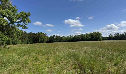 Photo #8 of 4633 Grainger Circle, Green Sea, SC 22.8 acres