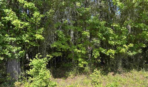 Photo #18 of 4633 Grainger Circle, Green Sea, SC 22.8 acres
