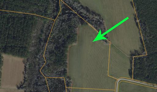 Photo #4 of 4633 Grainger Circle, Green Sea, SC 22.8 acres