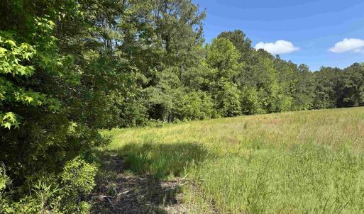 Photo #17 of 4633 Grainger Circle, Green Sea, SC 22.8 acres