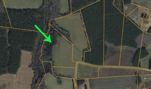 Photo #5 of 4633 Grainger Circle, Green Sea, SC 22.8 acres