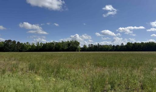 Photo #16 of 4633 Grainger Circle, Green Sea, SC 22.8 acres