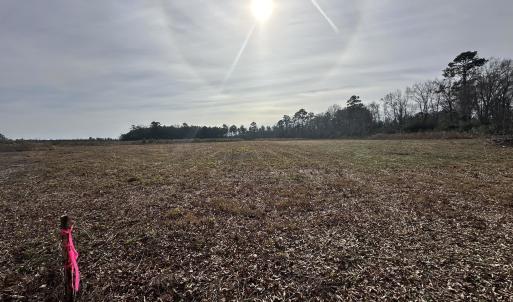 Photo #5 of TBD Cool Springs Rd, Marion, SC 10.6 acres