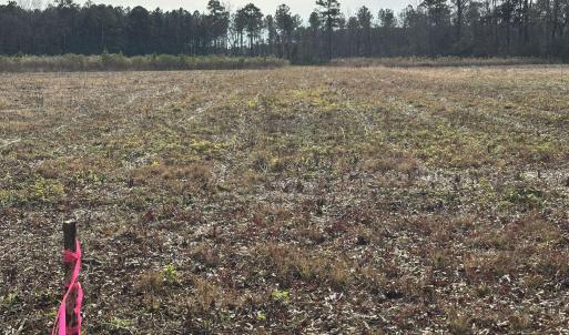 Photo #6 of TBD Cool Springs Rd, Marion, SC 10.6 acres