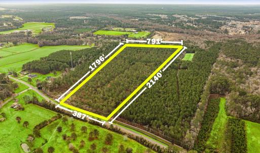Photo #2 of Old Reaves Ferry Rd., Conway, SC 25.0 acres